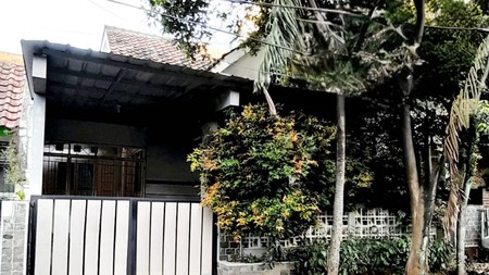 Rumah Anggrek Loka Bsd City