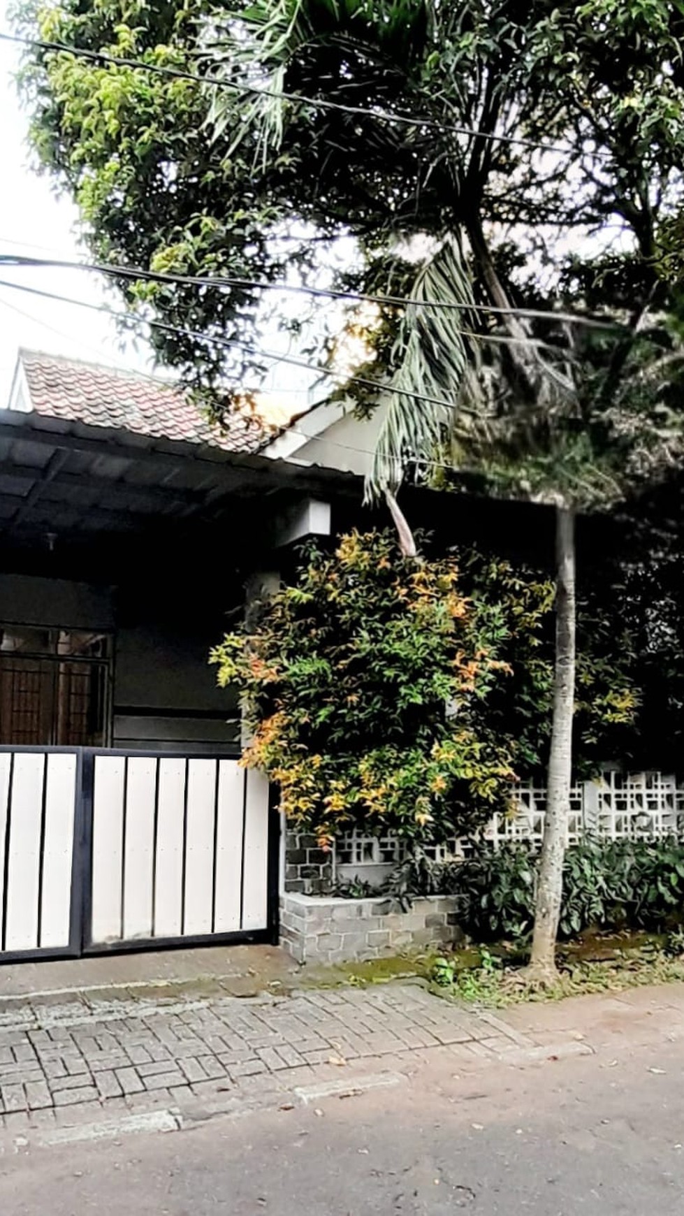 Rumah Anggrek Loka Bsd City