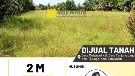 dijual tanah  di desa mulyasari tanjung lago