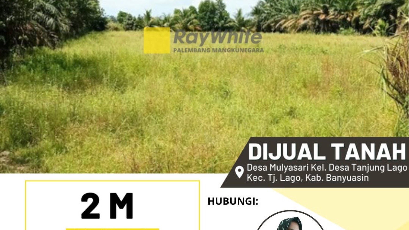 dijual tanah di desa mulyasari tanjung lago