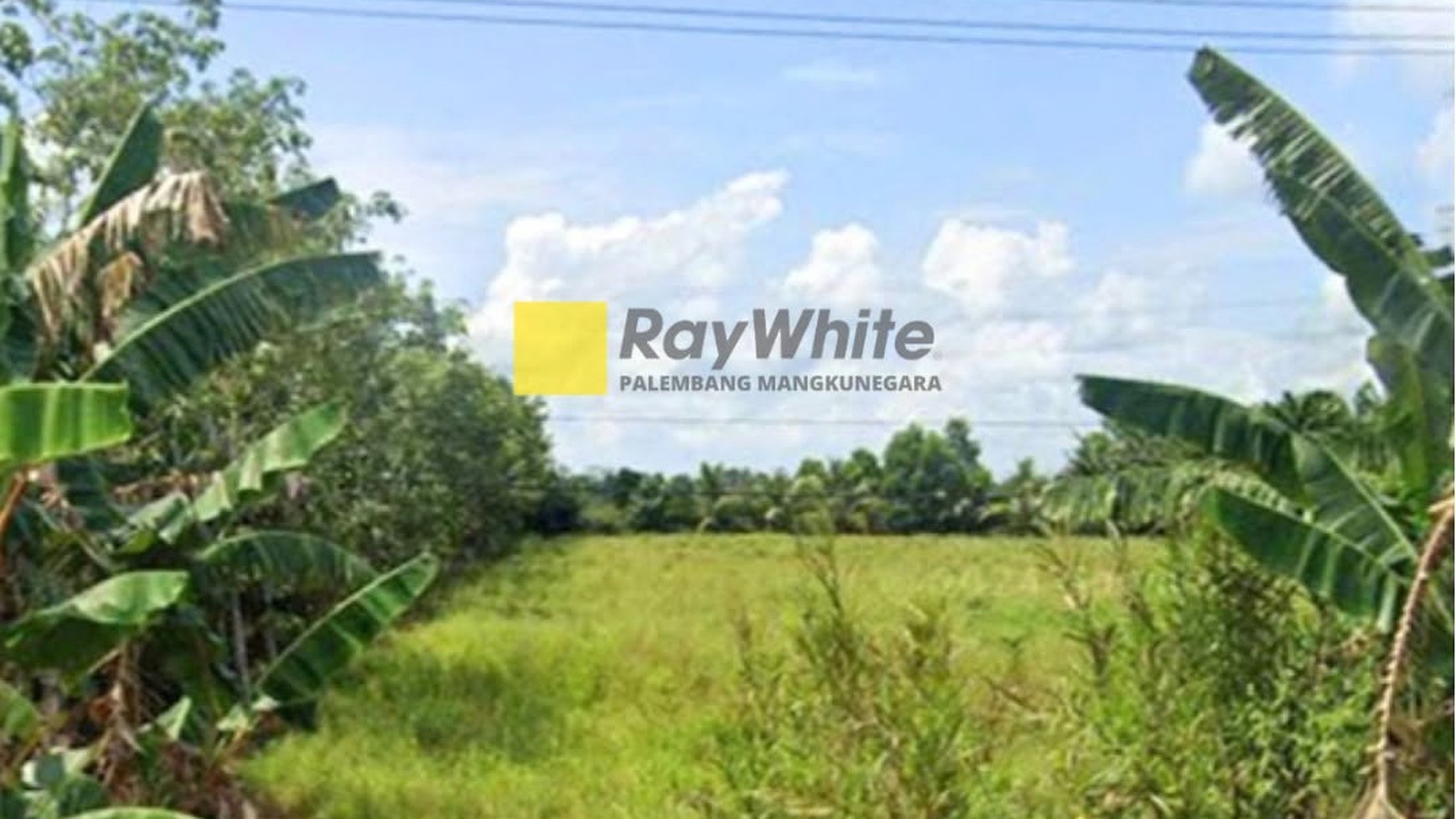 dijual tanah di desa mulyasari tanjung lago