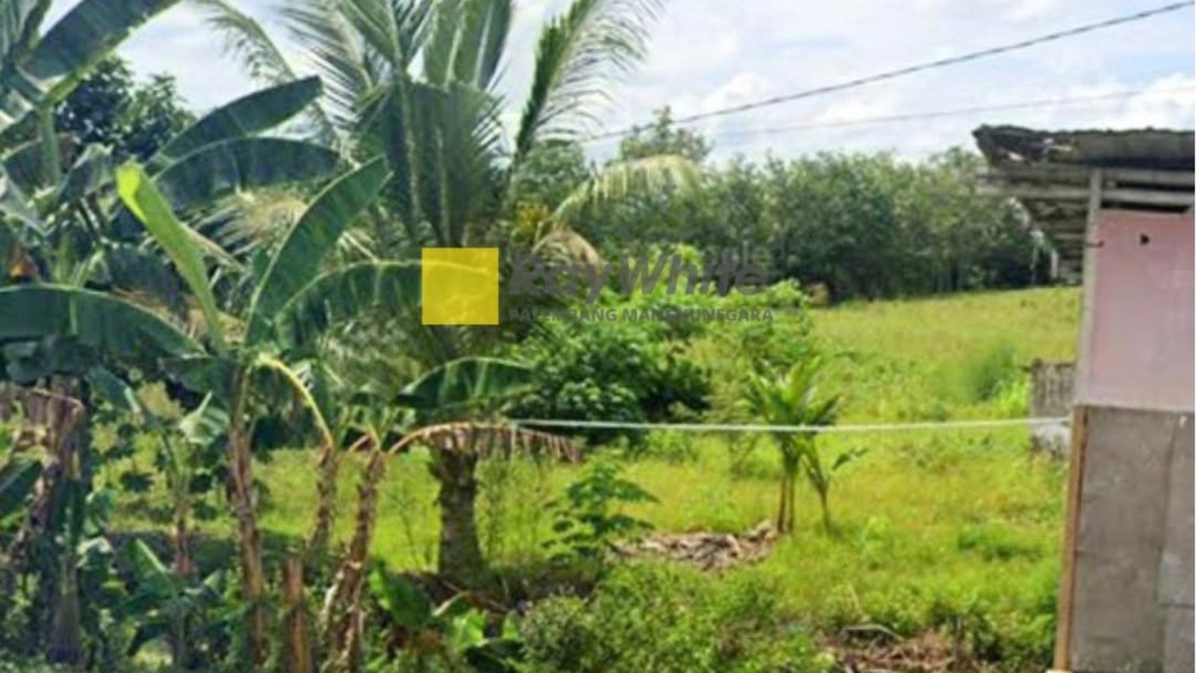 dijual tanah di desa mulyasari tanjung lago