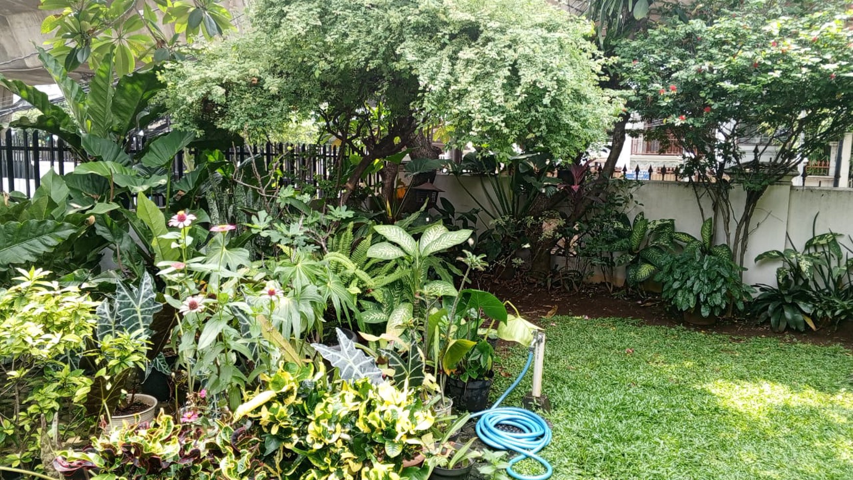 Rumah Bagus Di Jl Kyai Maja Mayestik Kebayoran Baru Jakarta Selatan