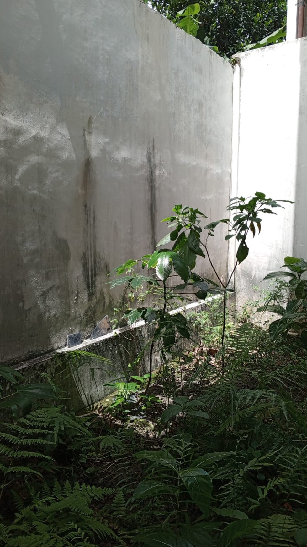 Rumah Bagus Di Graha Jeumpa Residence Pondok Aren Tangerang Selatan