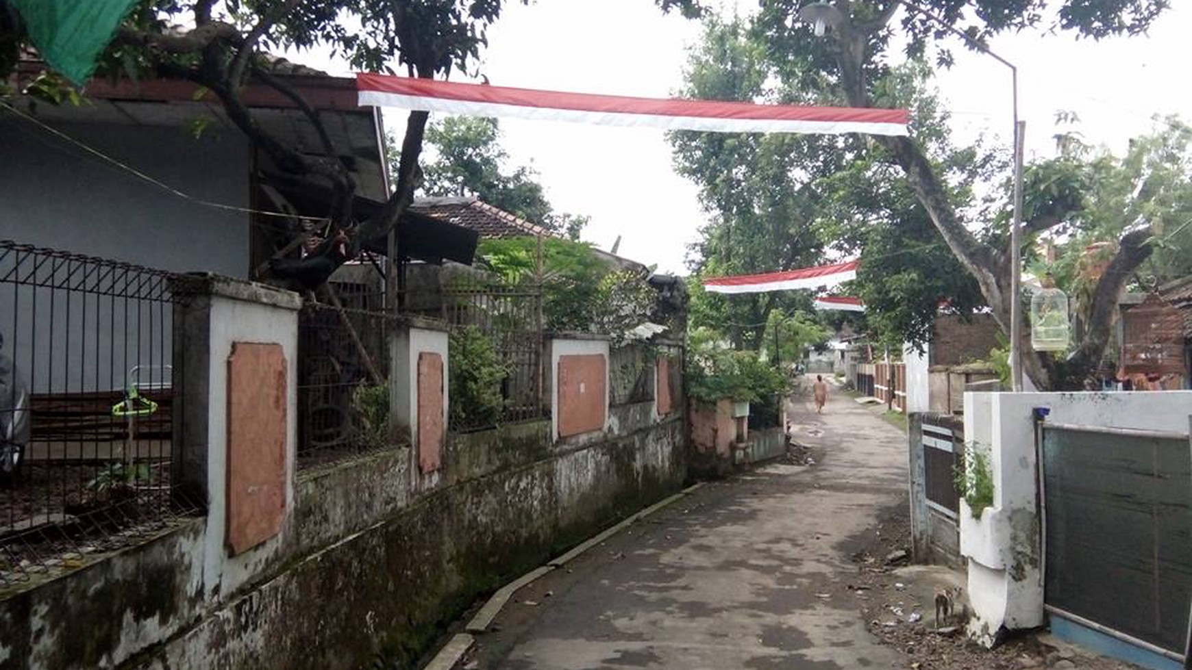 Rumah Cantik di gang Besito 3 No. 7, Gebog, Kudus, Jawa Tengah