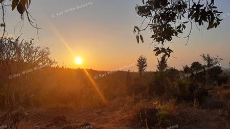 Sunset View Land for Sale in the Lovina Hills