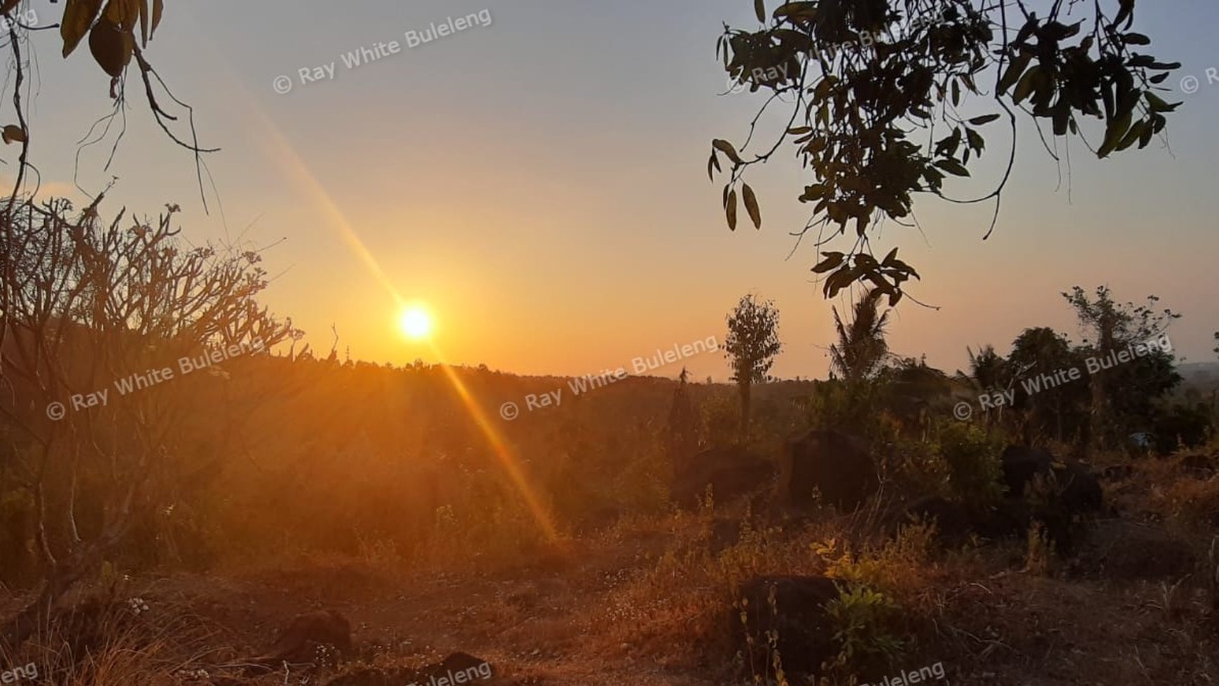 Sunset View Land for Sale in the Lovina Hills