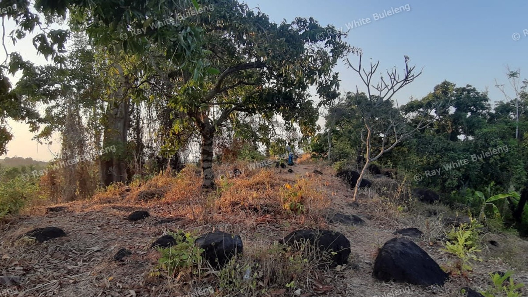 Sunset View Land for Sale in the Lovina Hills