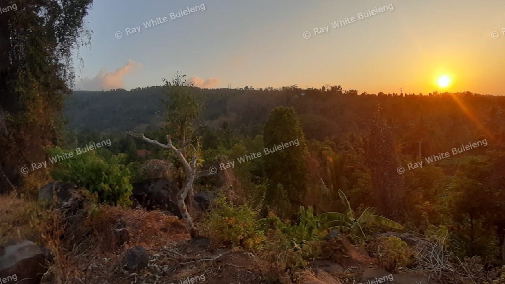 Sunset View Land for Sale in the Lovina Hills