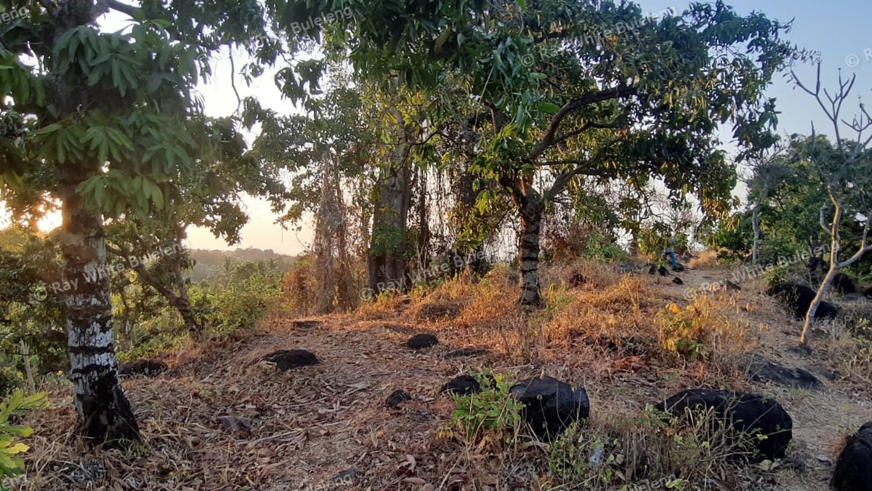 Sunset View Land for Sale in the Lovina Hills