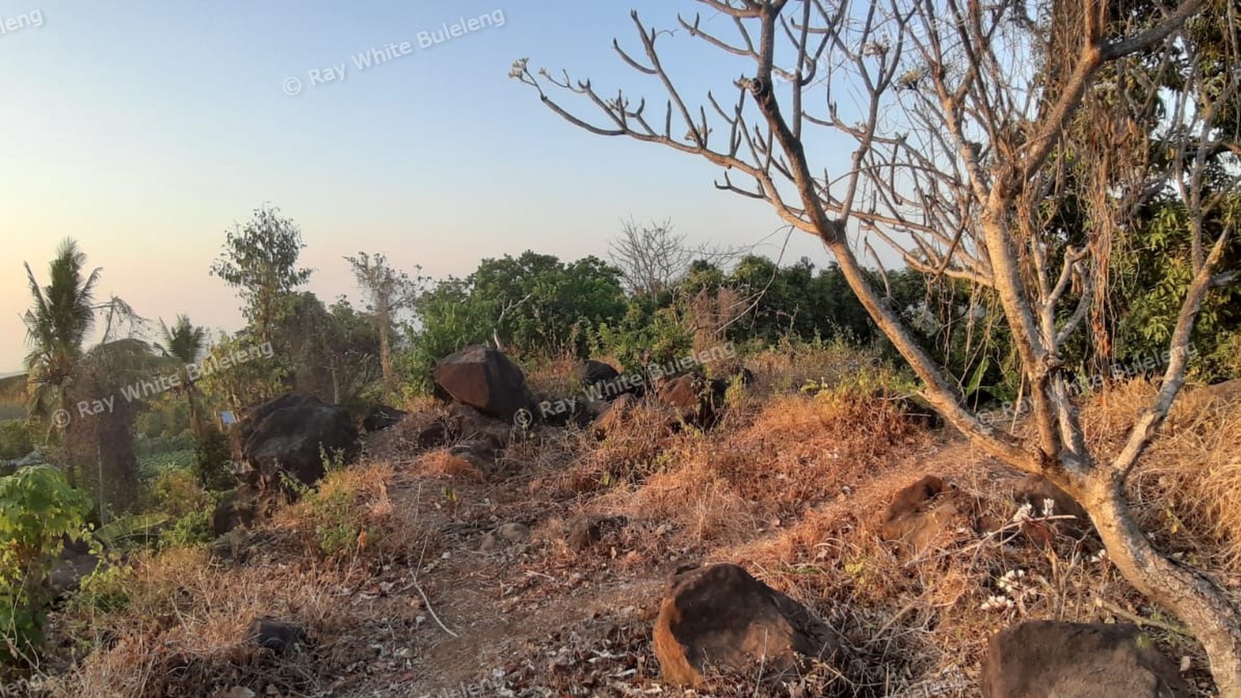 Sunset View Land for Sale in the Lovina Hills