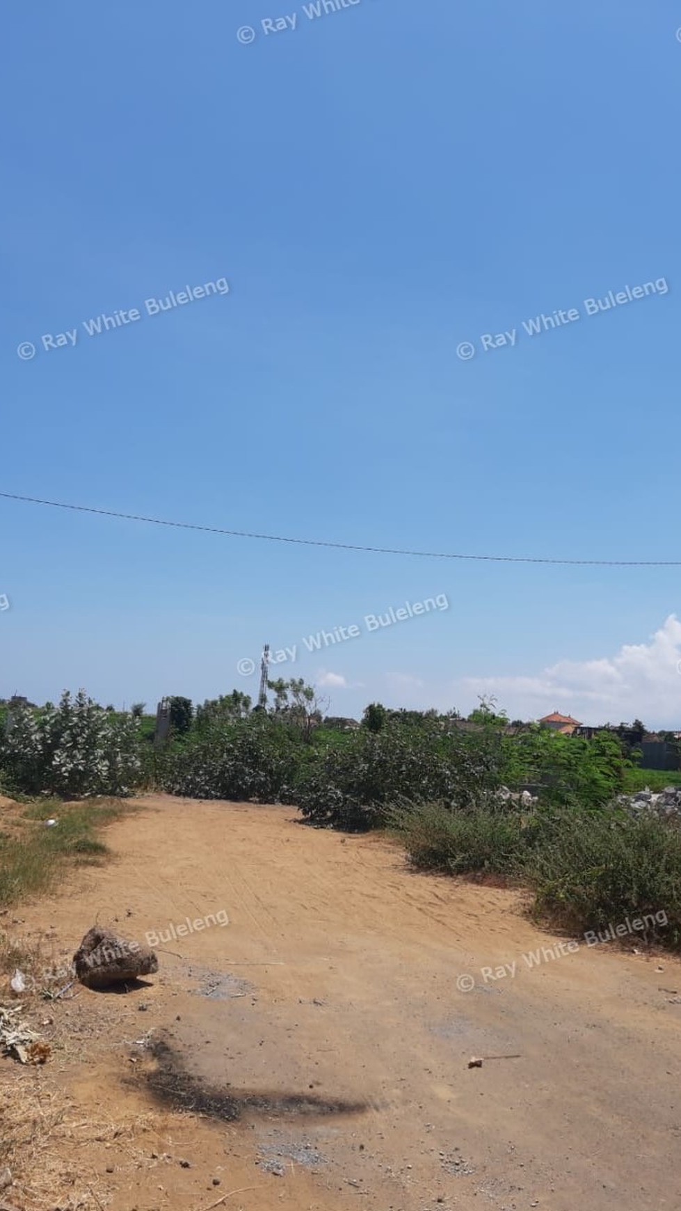Plot of Land for Sale in Singaraja