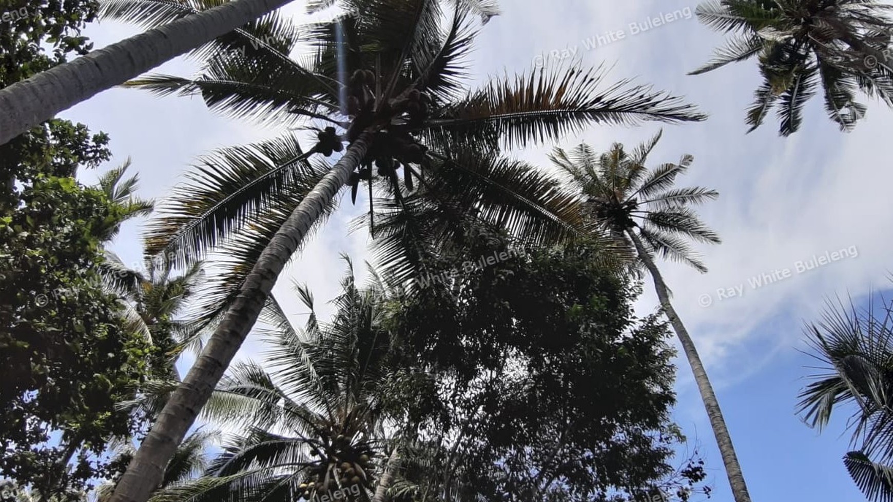 Beachfront Land For Sale in Tejakula
