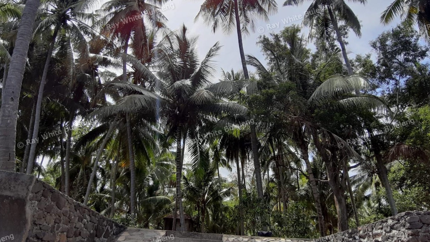 Beachfront Land For Sale in Tejakula
