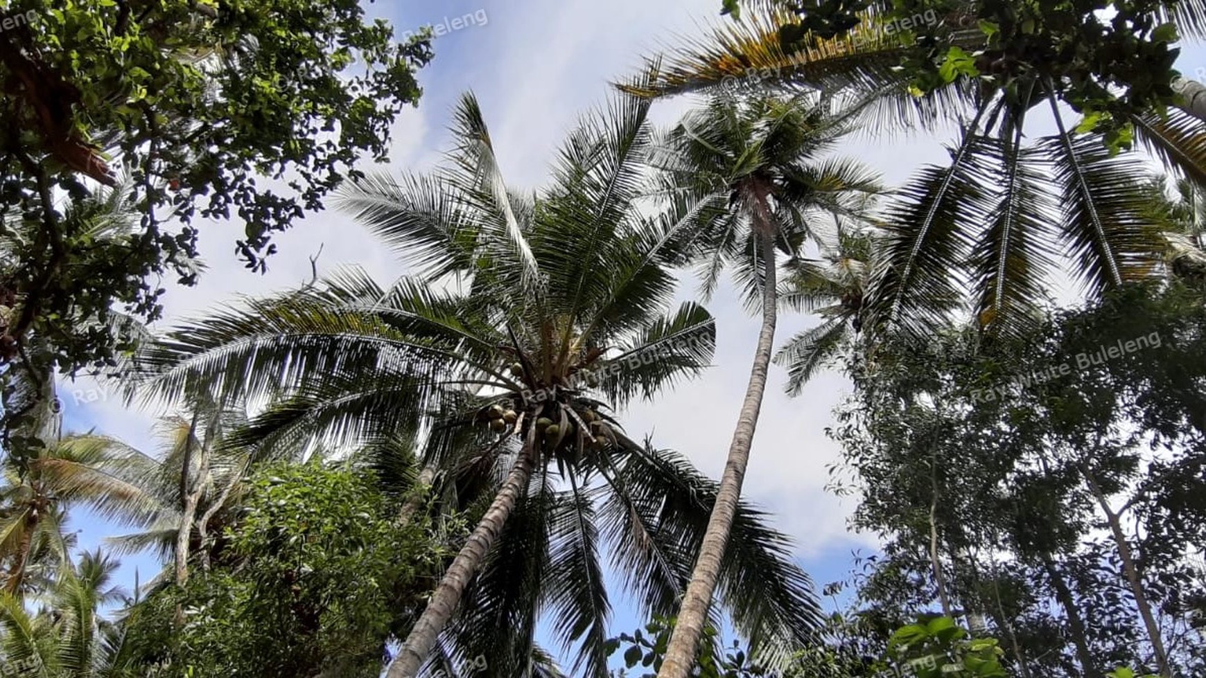 Beachfront Land For Sale in Tejakula