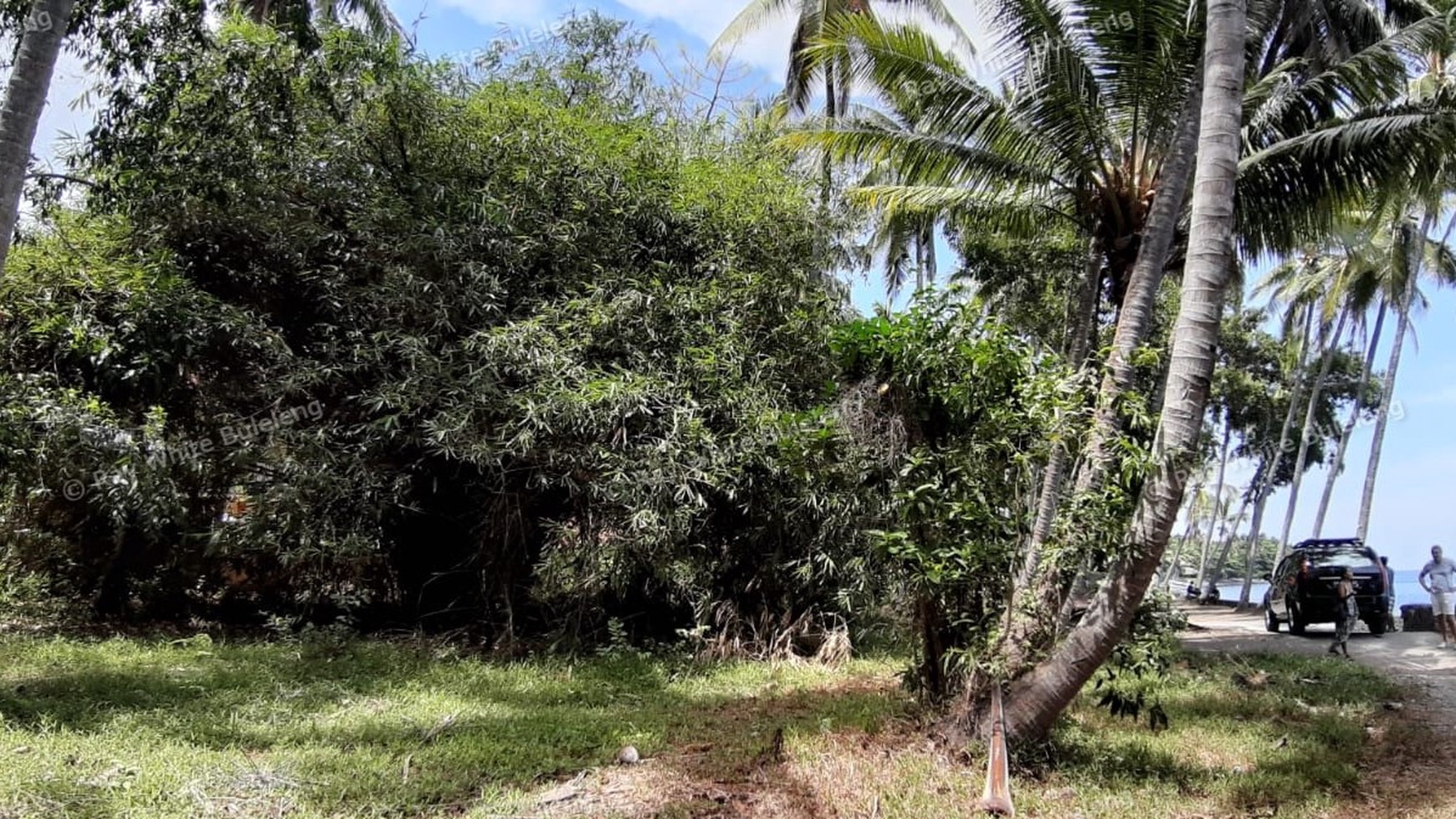 Beachfront Land For Sale in Tejakula