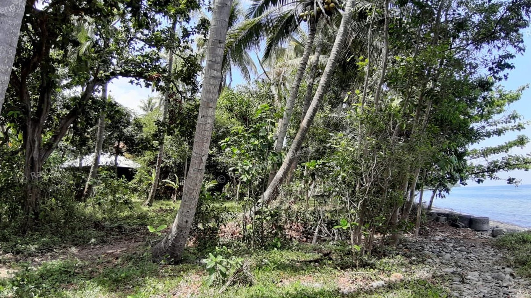 Beachfront Land For Sale in Tejakula