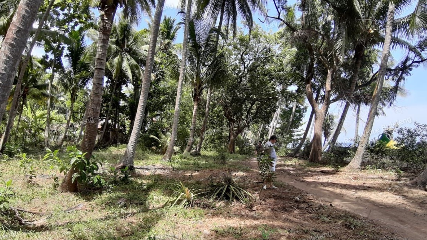 Beachfront Land For Sale in Tejakula