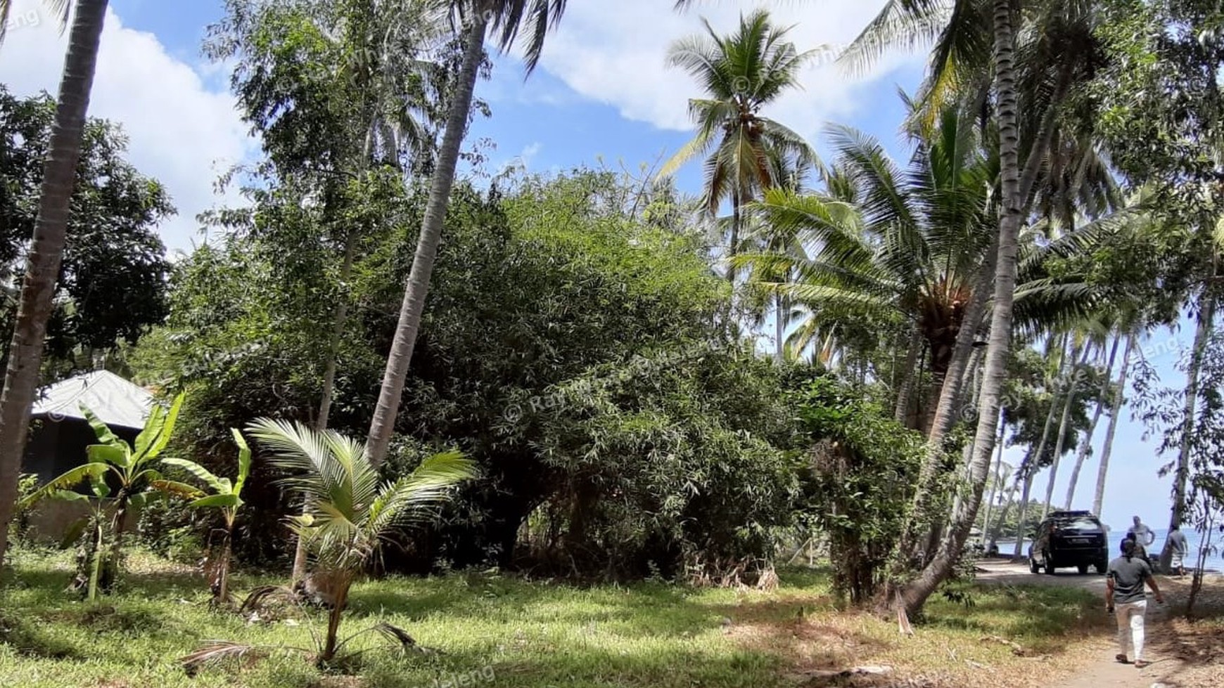 Beachfront Land For Sale in Tejakula