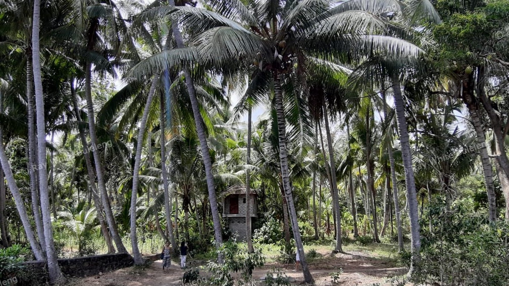 Beachfront Land For Sale in Tejakula