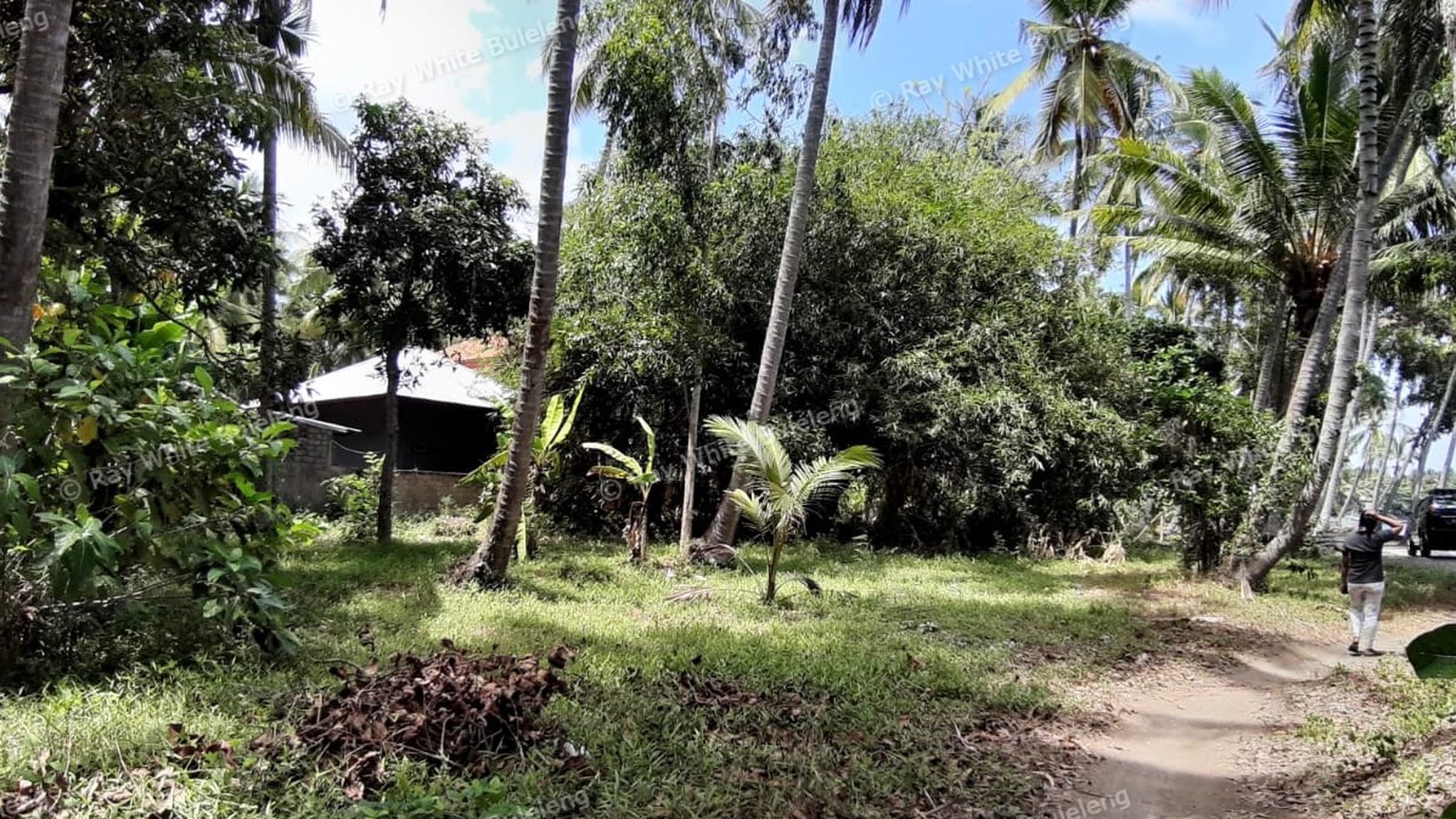 Beachfront Land For Sale in Tejakula