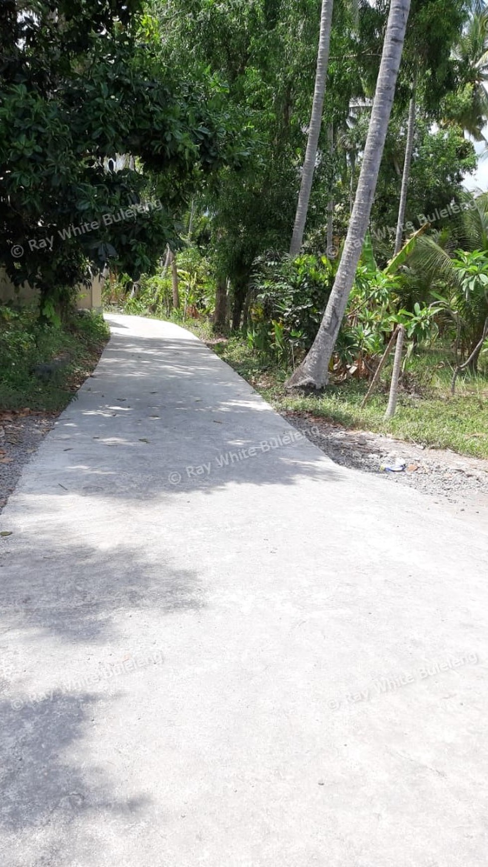 Beachfront Land For Sale in Tejakula