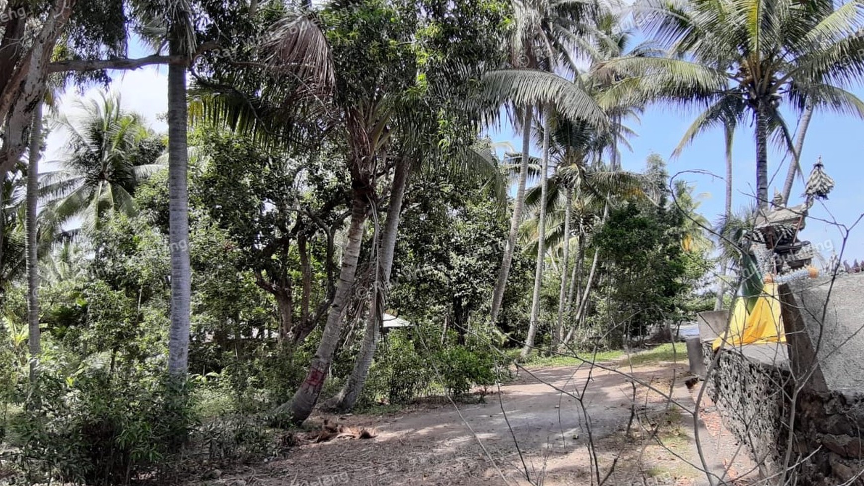 Beachfront Land For Sale in Tejakula