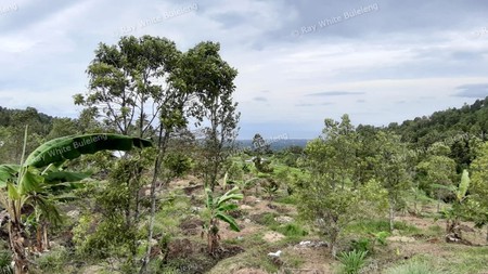 3380 Sqm Land For Sale