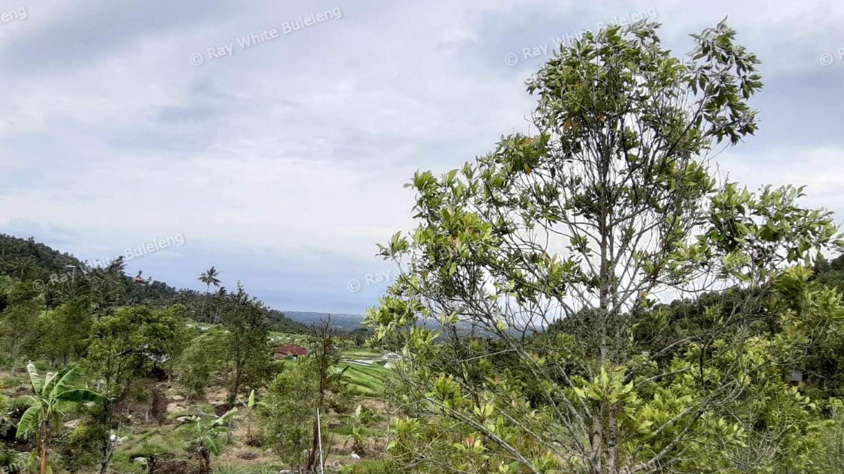 3380 Sqm Land For Sale