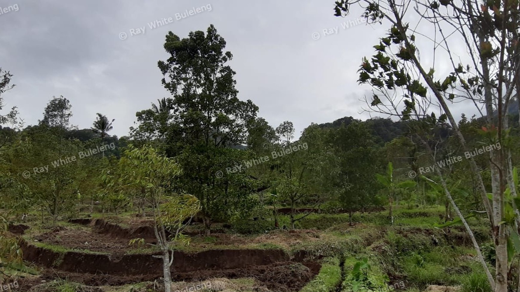 3380 Sqm Land For Sale