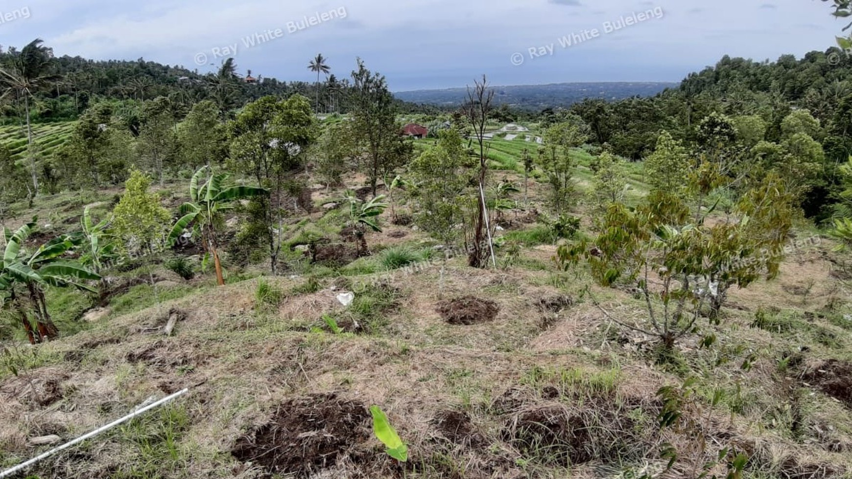 3380 Sqm Land For Sale