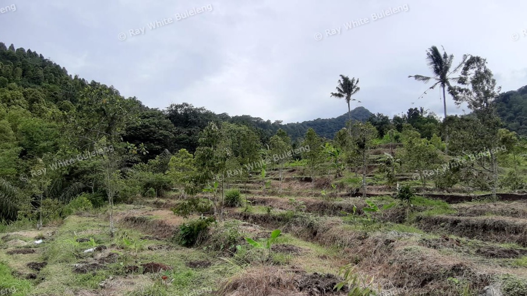 3380 Sqm Land For Sale