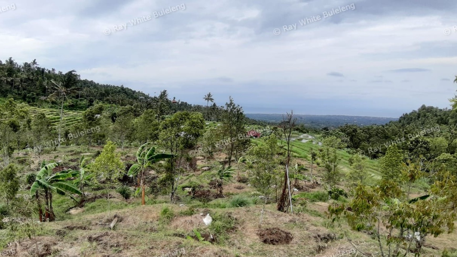 3380 Sqm Land For Sale