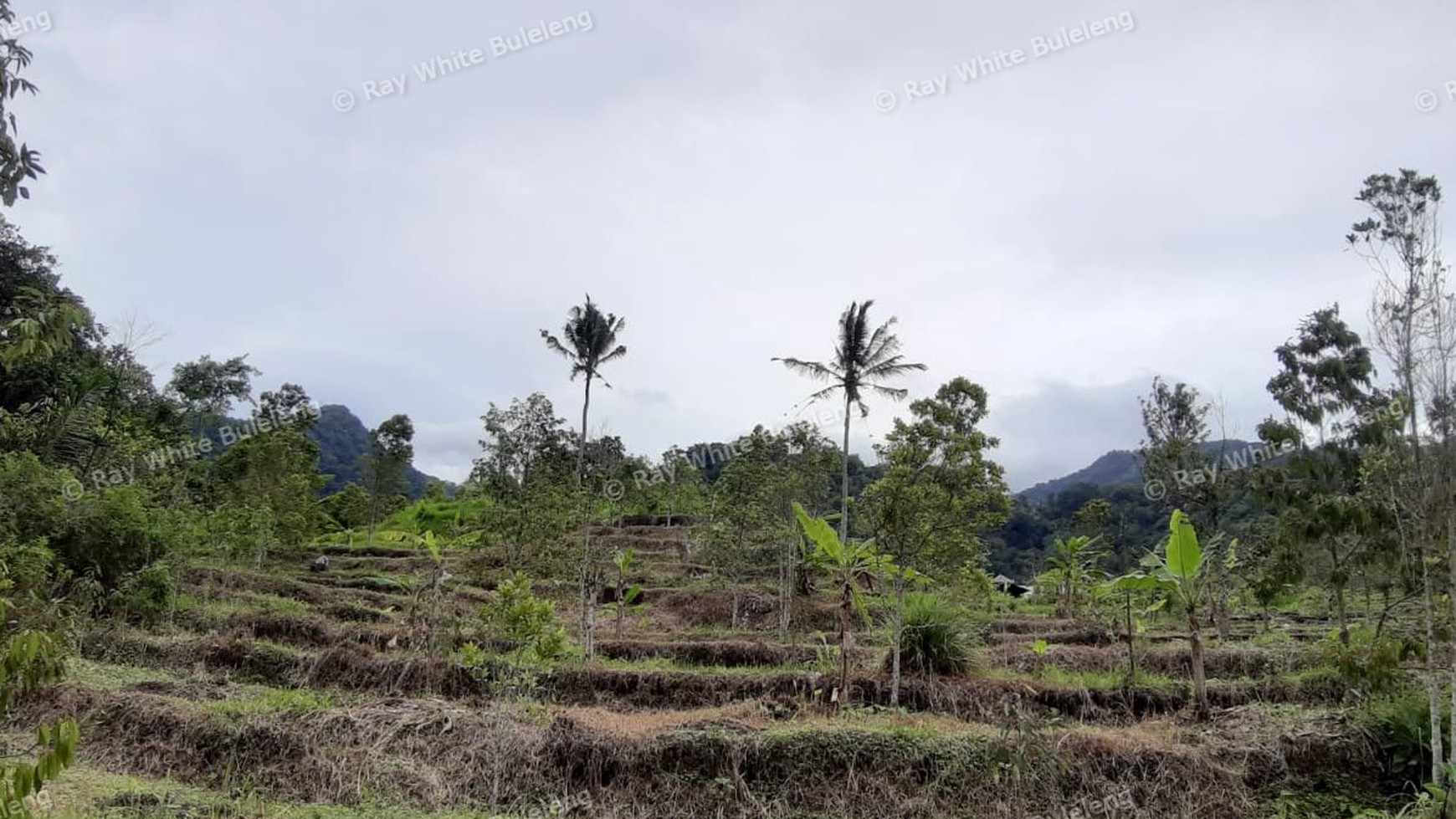 3380 Sqm Land For Sale