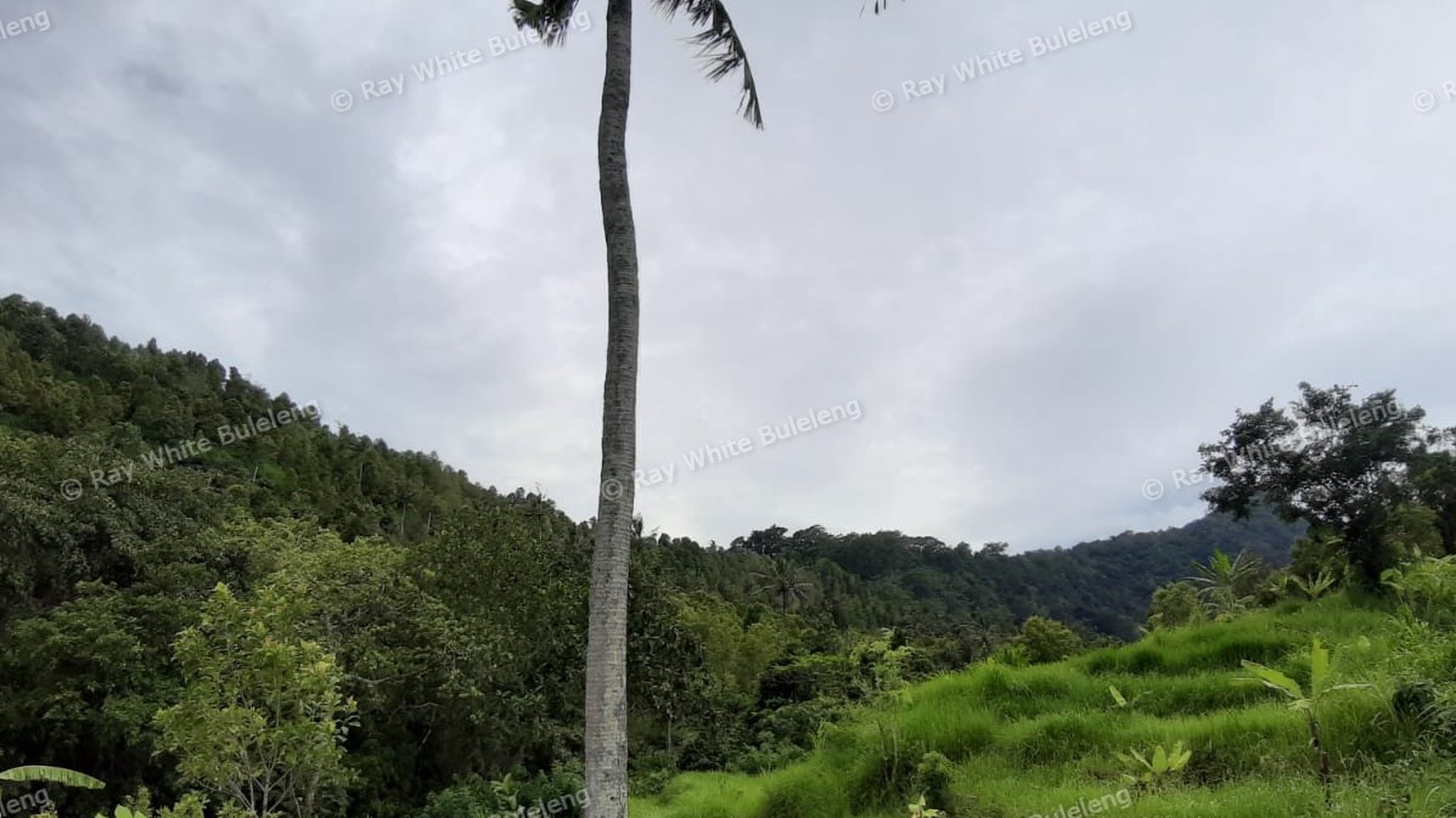 3380 Sqm Land For Sale