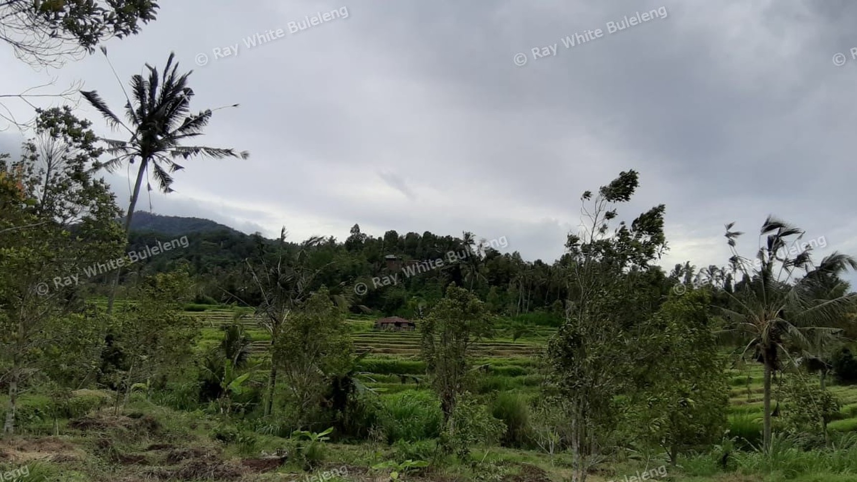 3380 Sqm Land For Sale