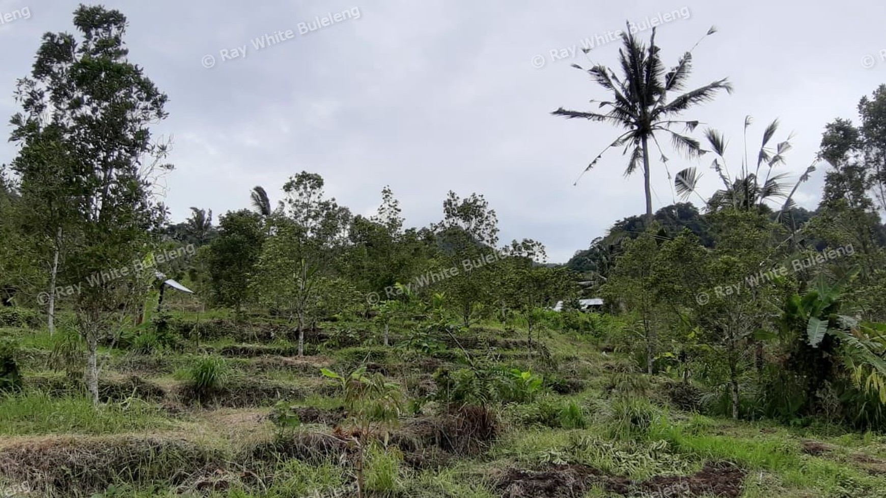 3380 Sqm Land For Sale