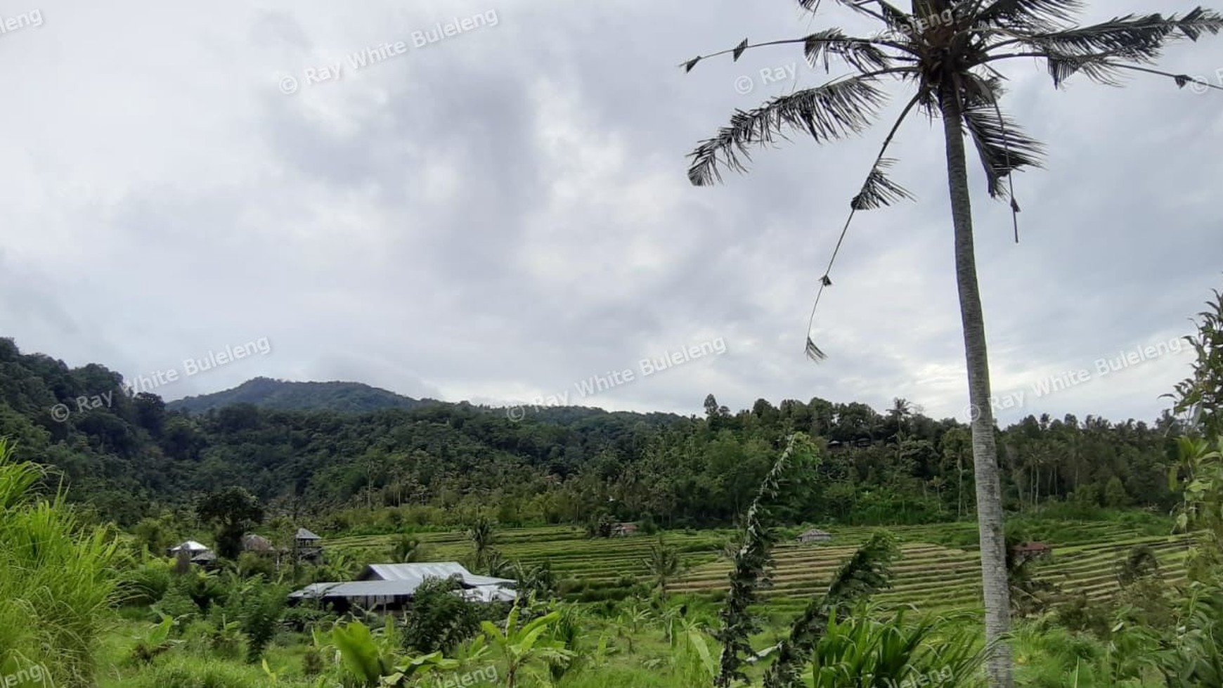 3380 Sqm Land For Sale