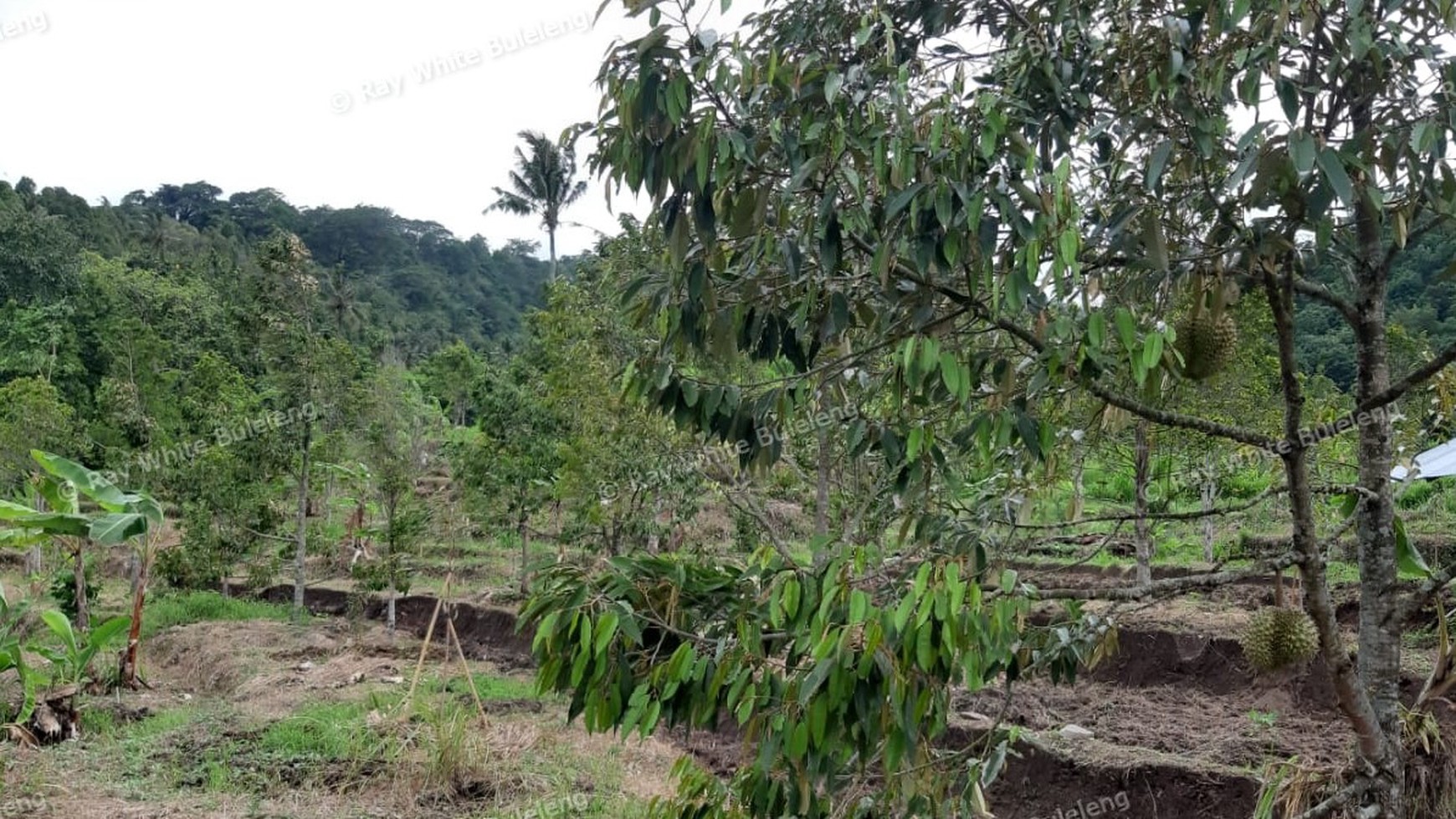 3380 Sqm Land For Sale