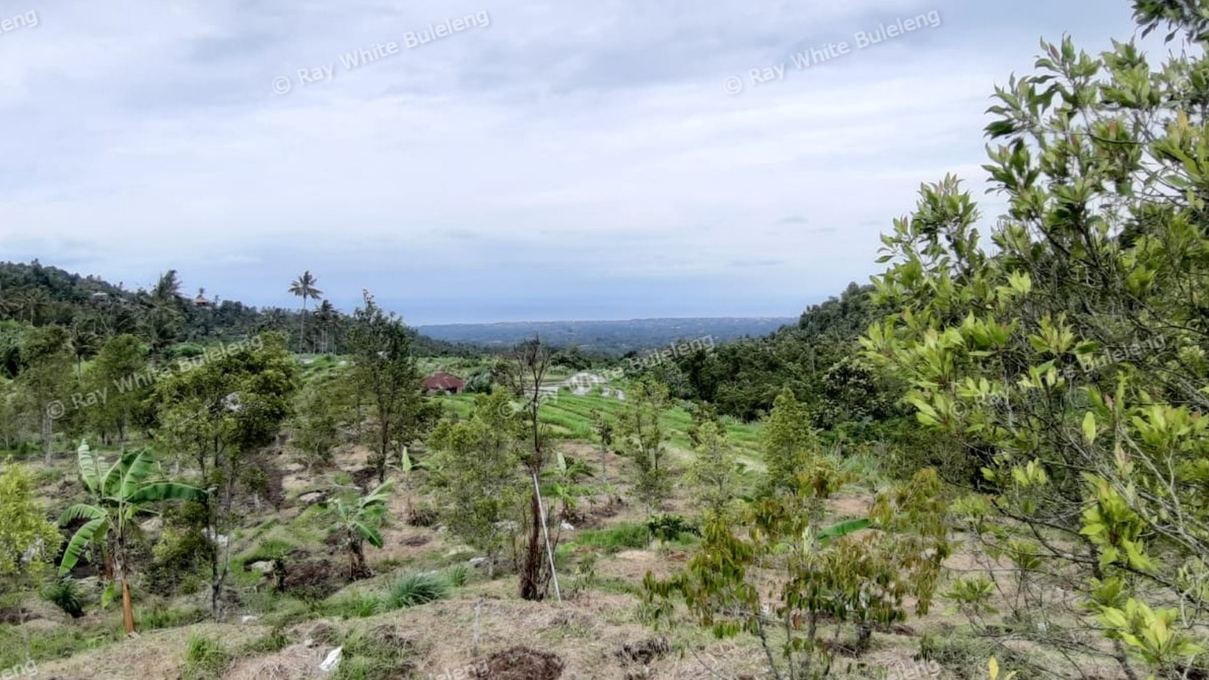 3380 Sqm Land For Sale