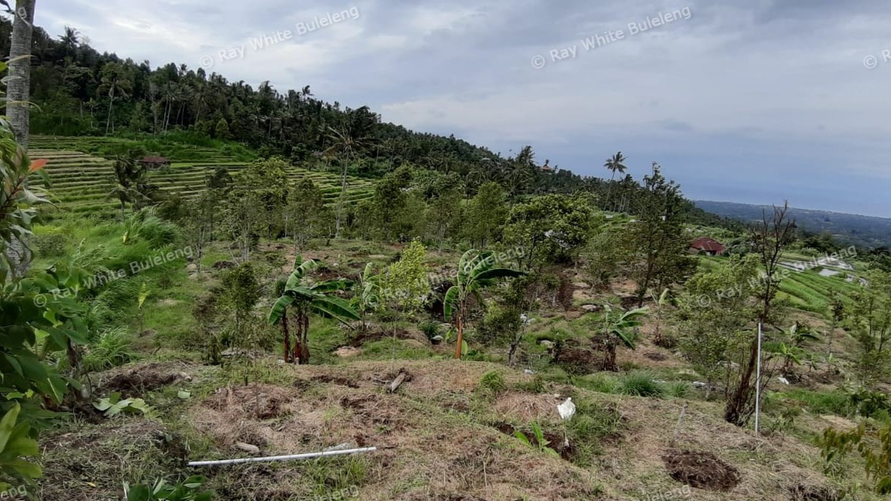 3380 Sqm Land For Sale