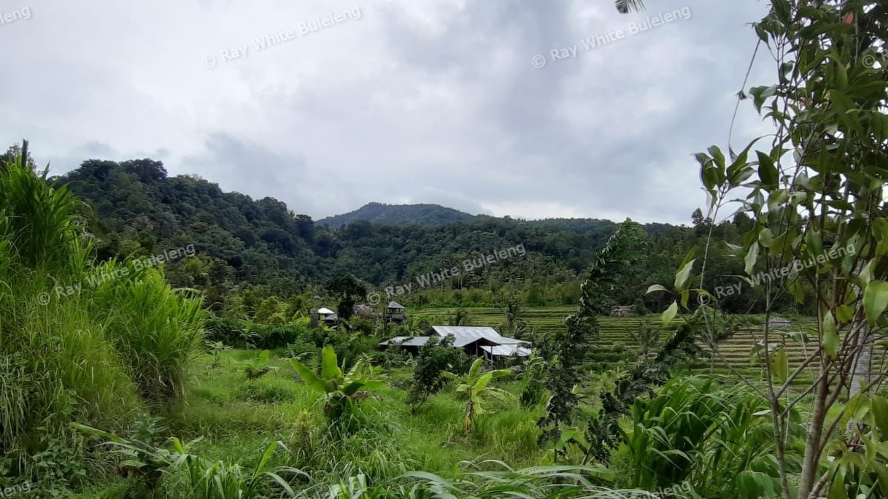 3380 Sqm Land For Sale