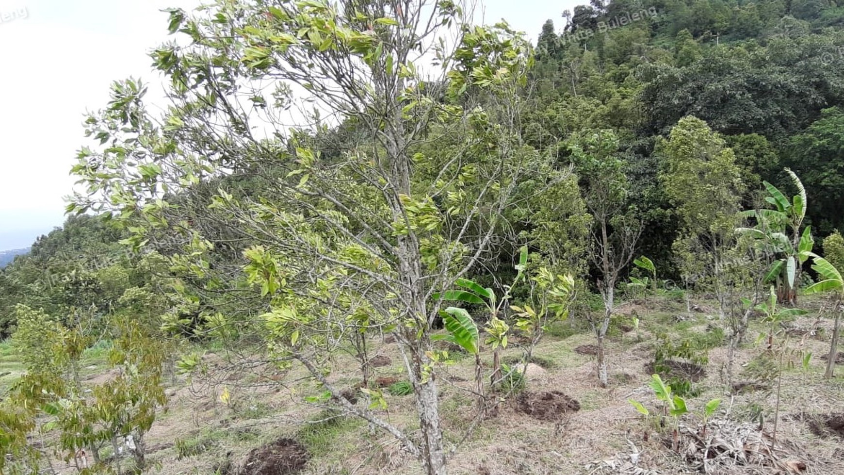 3380 Sqm Land For Sale