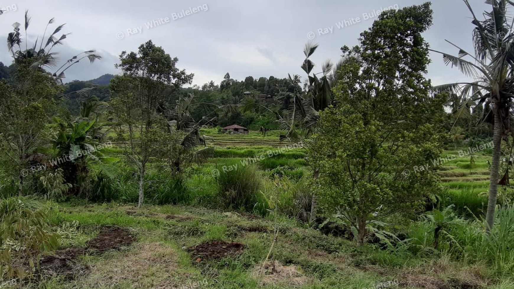 3380 Sqm Land For Sale