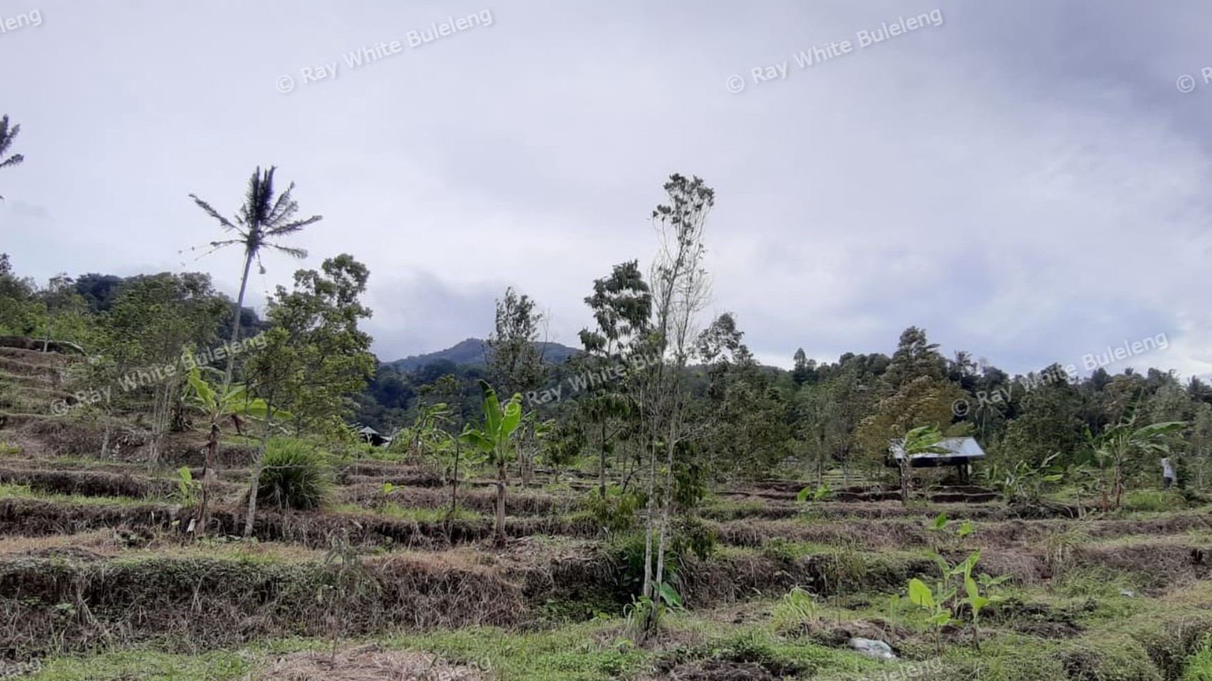 3380 Sqm Land For Sale
