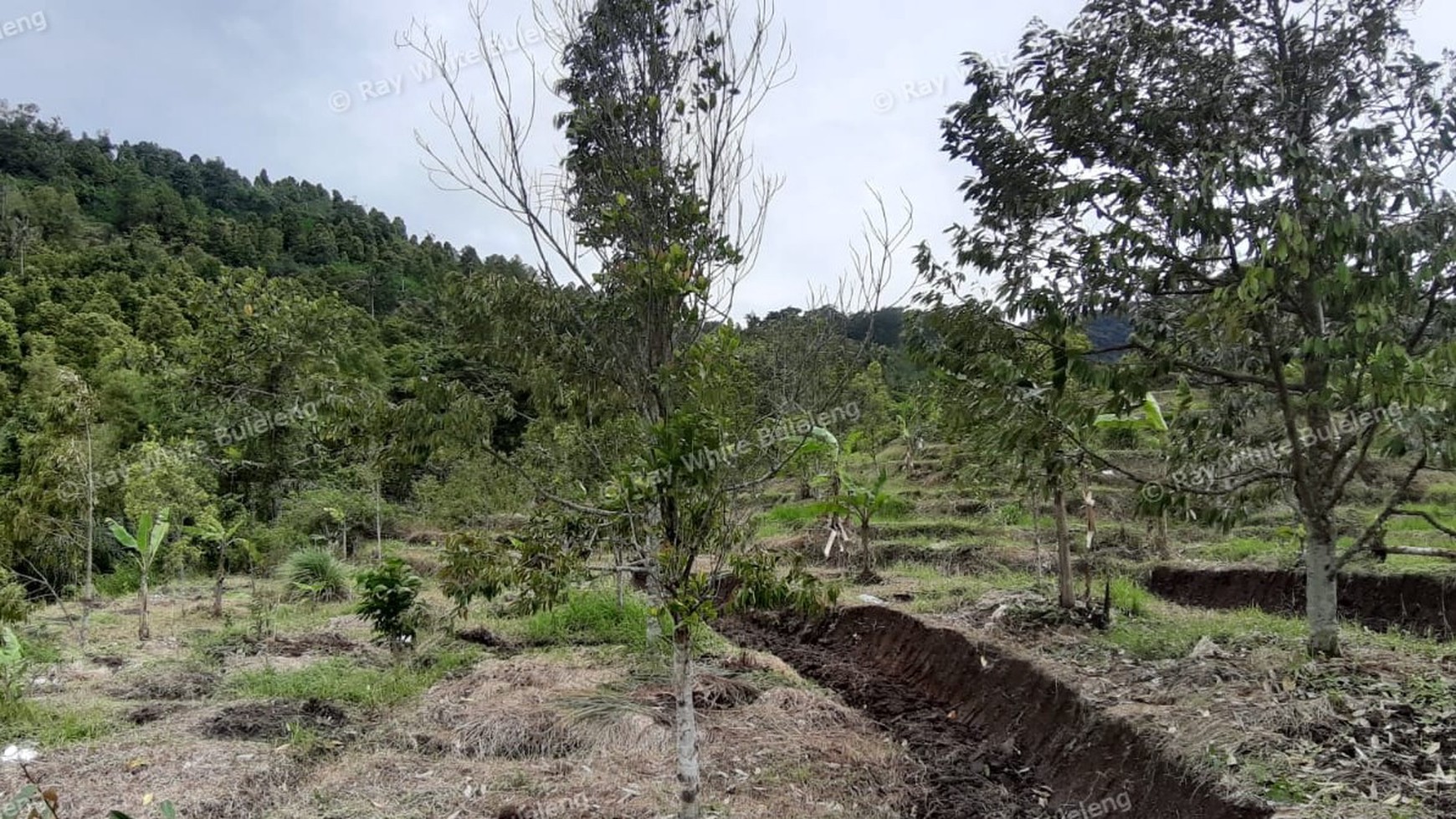 3380 Sqm Land For Sale