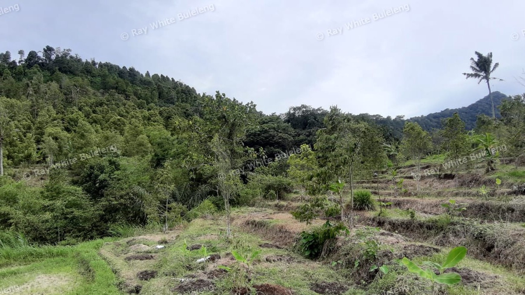 3380 Sqm Land For Sale
