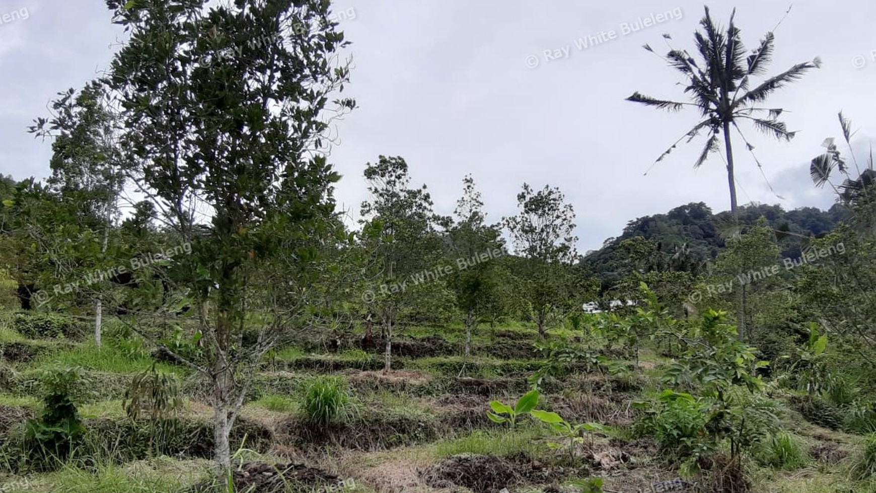 3380 Sqm Land For Sale
