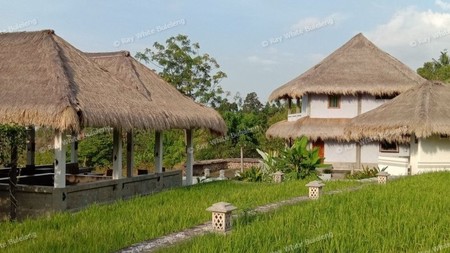 VILLA FOR SALE WITH OCEAN AND RICE FIELD VIEW