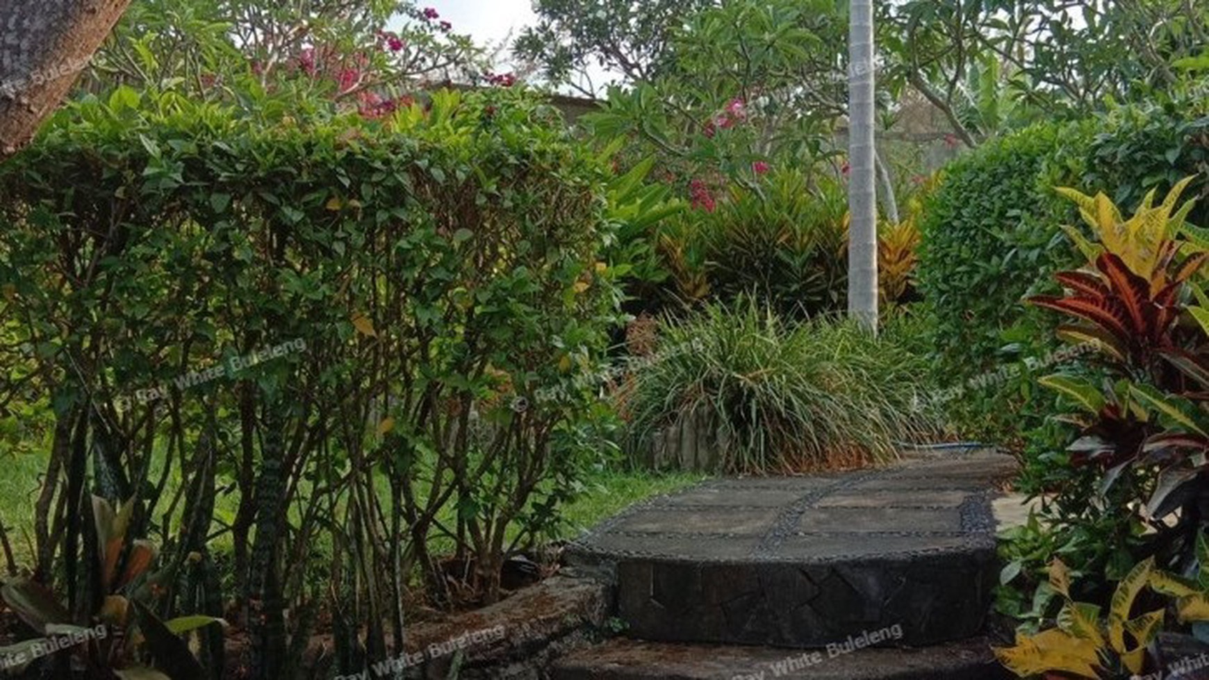 VILLA FOR SALE WITH OCEAN AND RICE FIELD VIEW